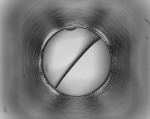 X0000098040812200804111344