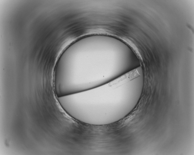 X0000098040815200804111344