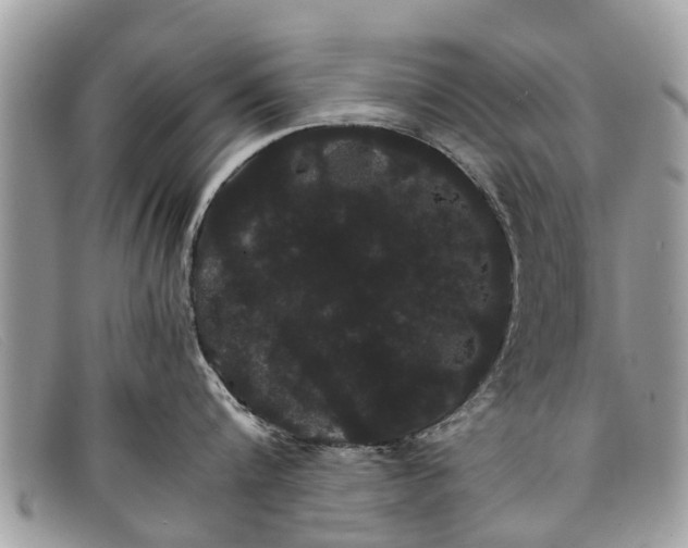 X0000098040816200804111344