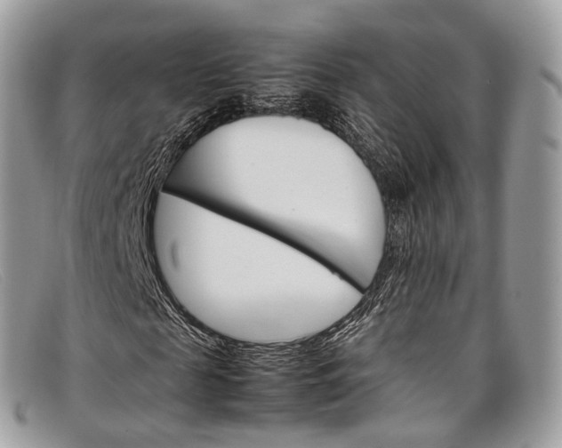 X0000098040817200804111344