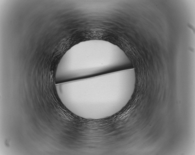 X0000098040818200804111344