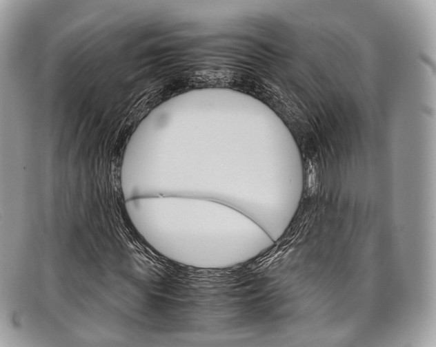 X0000098040819200804111344