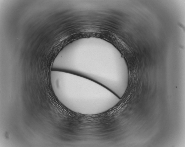 X0000098040821200804111344