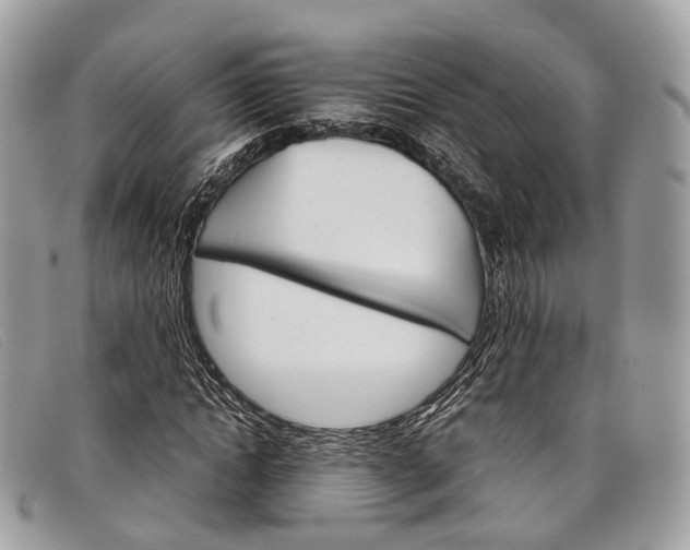 X0000098040822200804111344