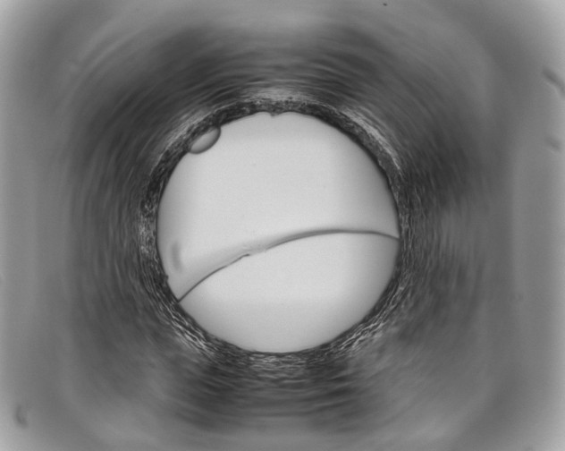 X0000098040823200804111344