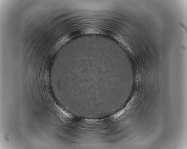 X0000098040825200804111344