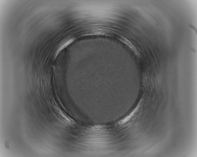 X0000098040826200804111344