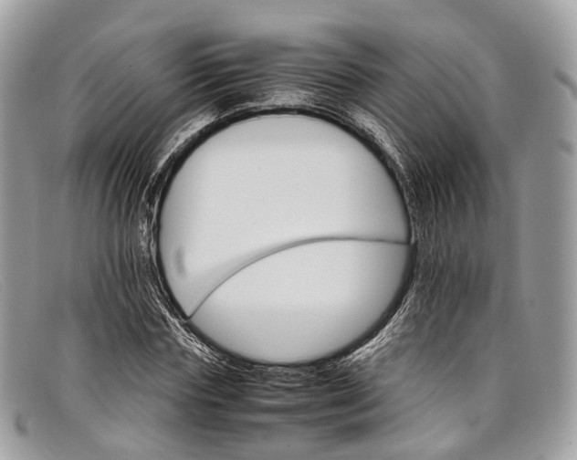 X0000098040827200804111344
