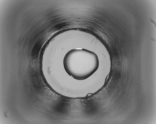 X0000098040828200804111344