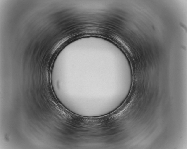 X0000098040829200804111344