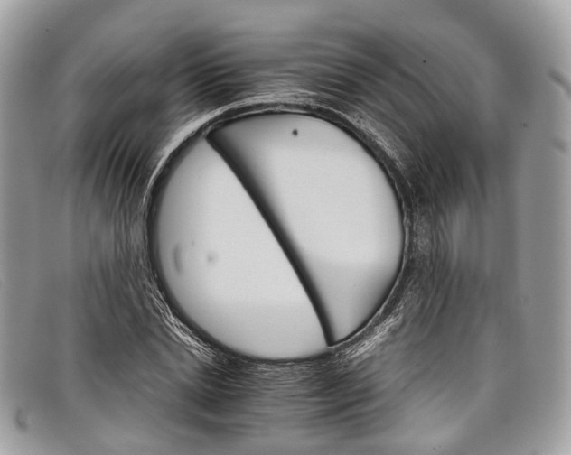 X0000098040830200804111344