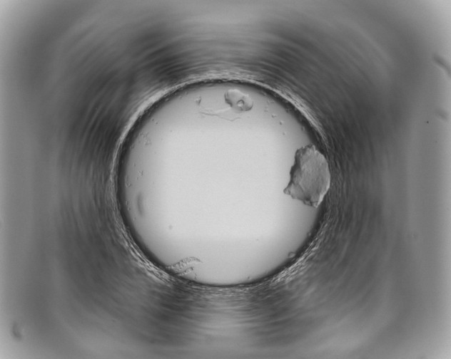 X0000098040832200804111344