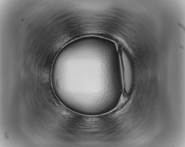 X0000098040833200804111344