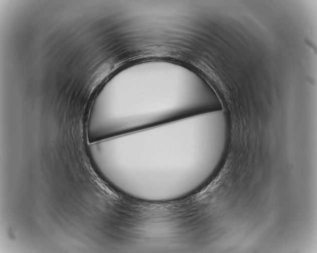 X0000098040834200804111344