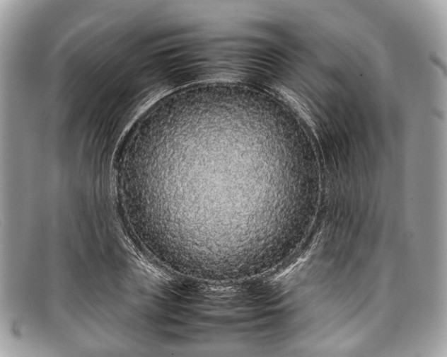 X0000098040835200804111344