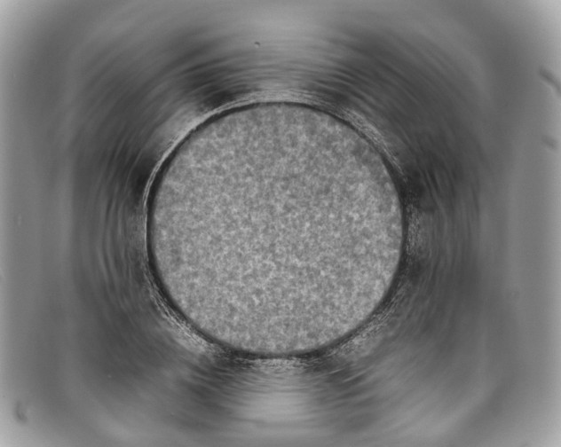 X0000098040836200804111344