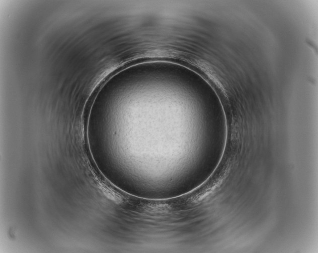X0000098040837200804111344