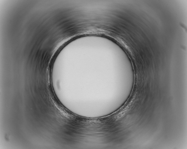X0000098040838200804111344