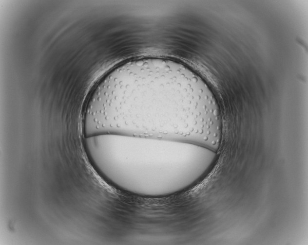 X0000098040839200804111344