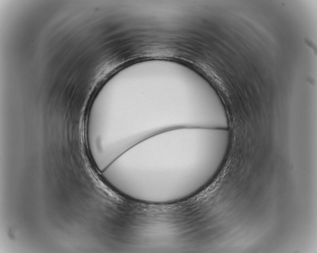 X0000098040840200804111344