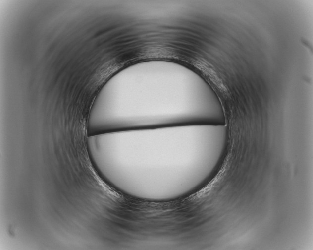 X0000098040841200804111344