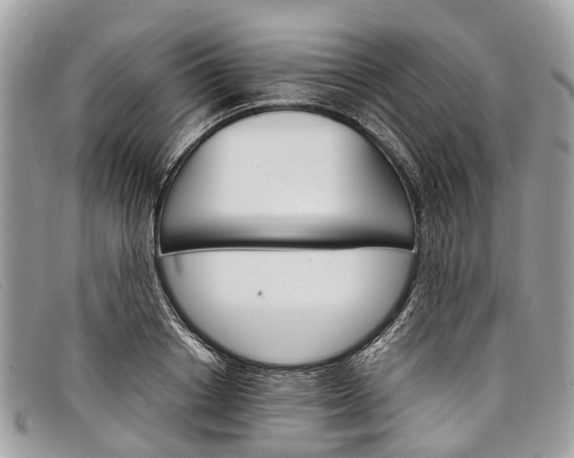 X0000098040842200804111344