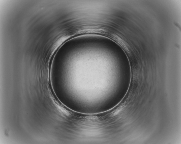 X0000098040844200804111344