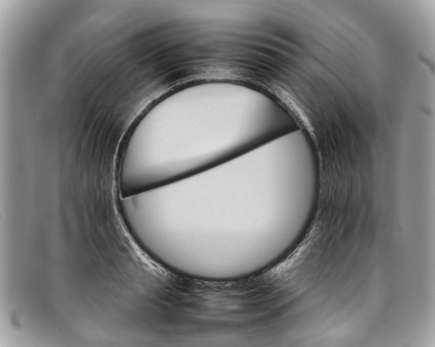 X0000098040845200804111344