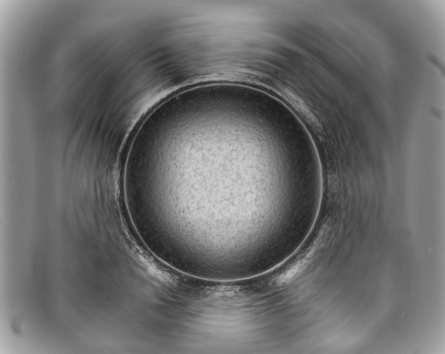 X0000098040846200804111344