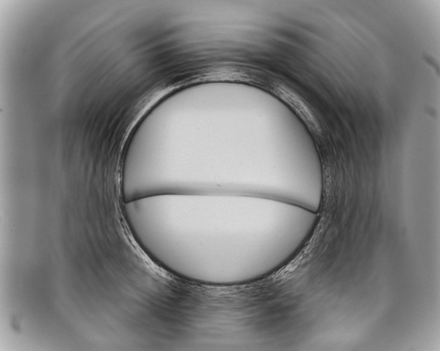 X0000098040852200804111344