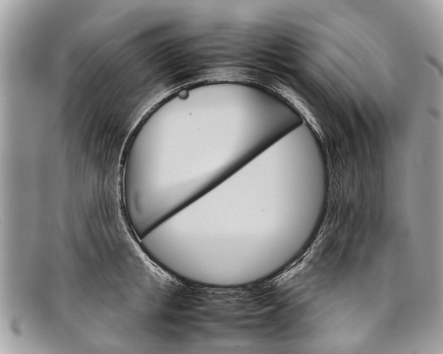 X0000098040853200804111344
