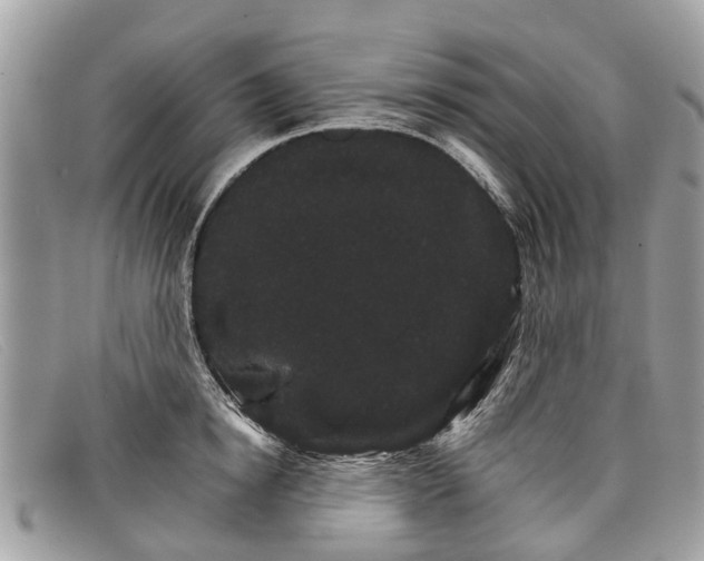 X0000098040854200804111344