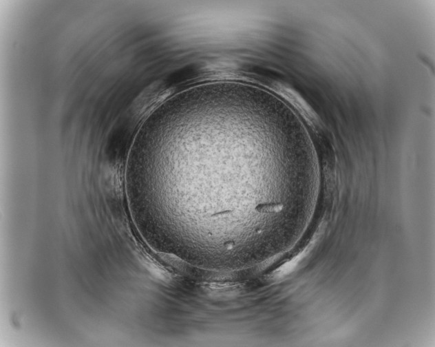 X0000098040857200804111344