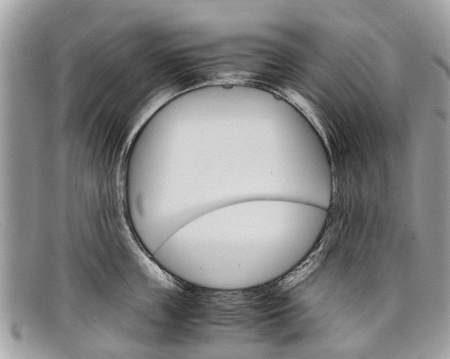 X0000098040859200804111344