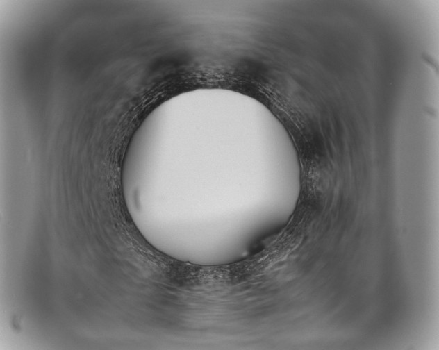 X0000098040865200804111343