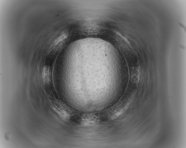 X0000098040866200804111343