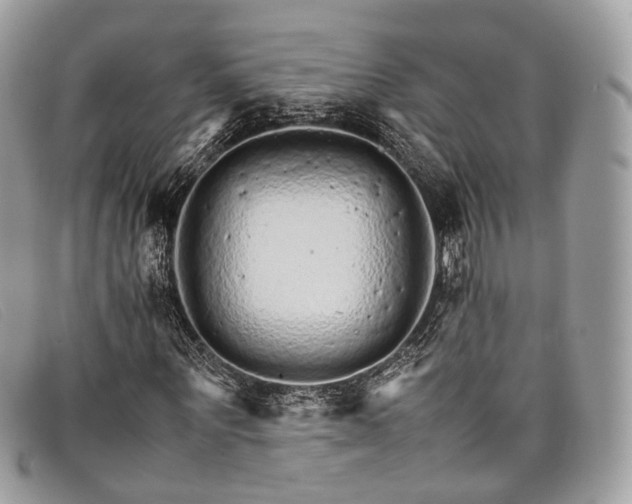X0000098040867200804111343