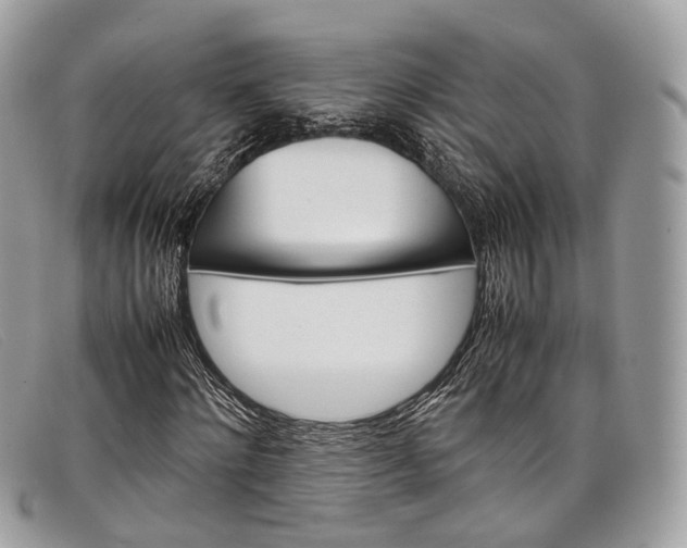 X0000098040868200804111343