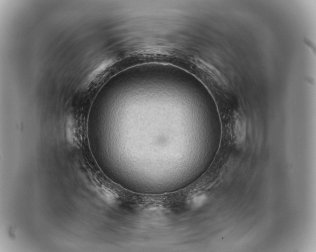X0000098040870200804111343