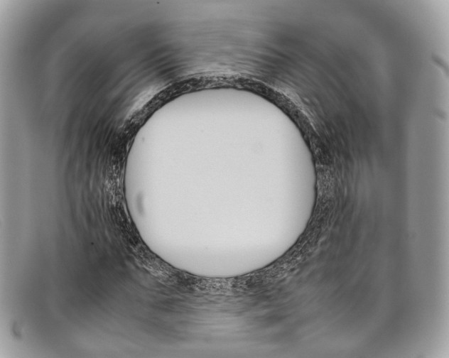X0000098040871200804111343