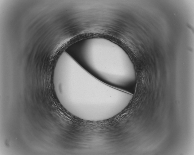 X0000098040872200804111343