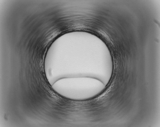 X0000098040873200804111343