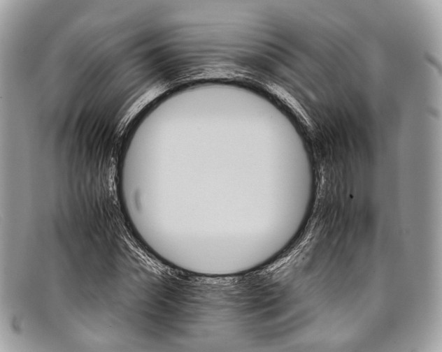 X0000098040874200804111343