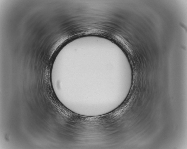 X0000098040875200804111343