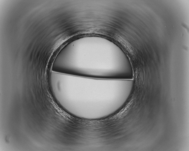 X0000098040876200804111343