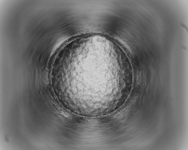 X0000098040878200804111343