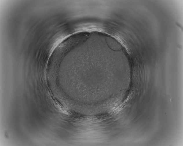 X0000098040879200804111343