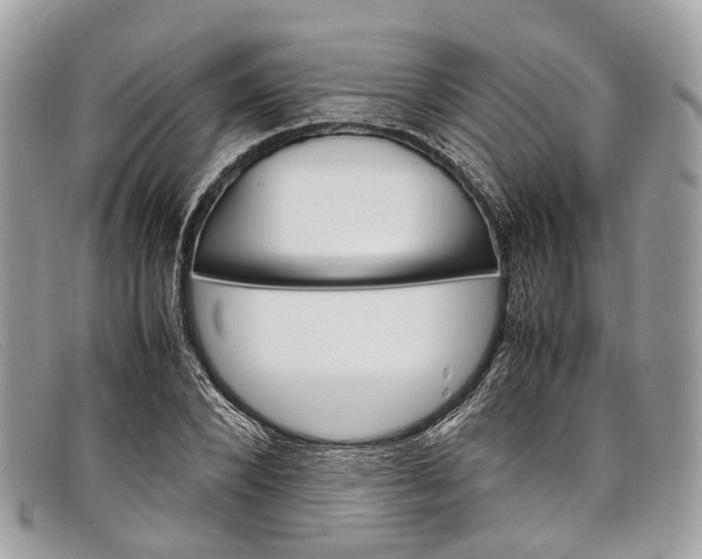 X0000098040880200804111343