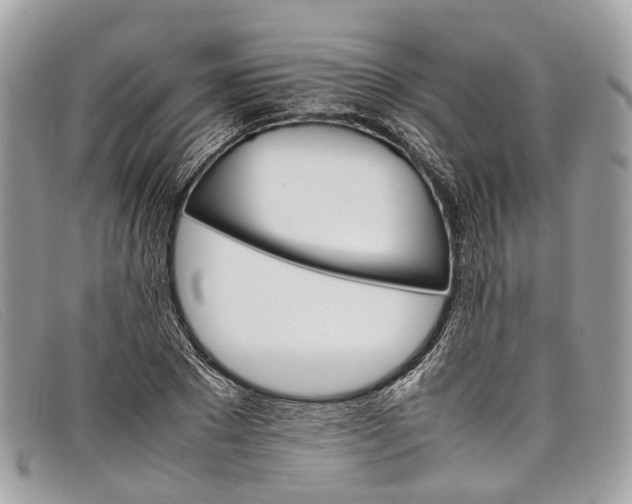 X0000098040881200804111343