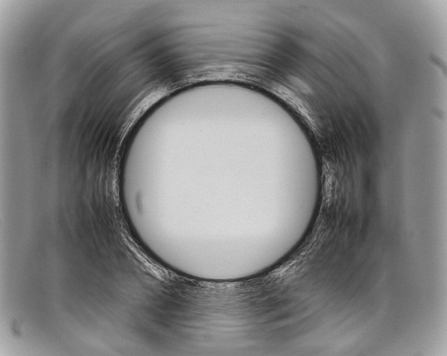X0000098040882200804111343